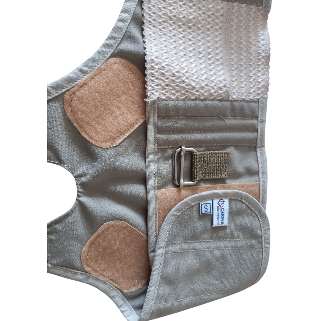 Faja Inguinal Braguero